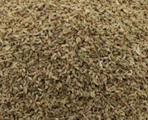 ajwain