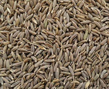 cumin seeds