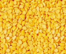 moong dal