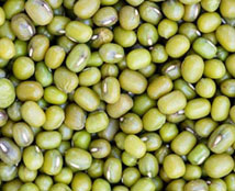 mung beans